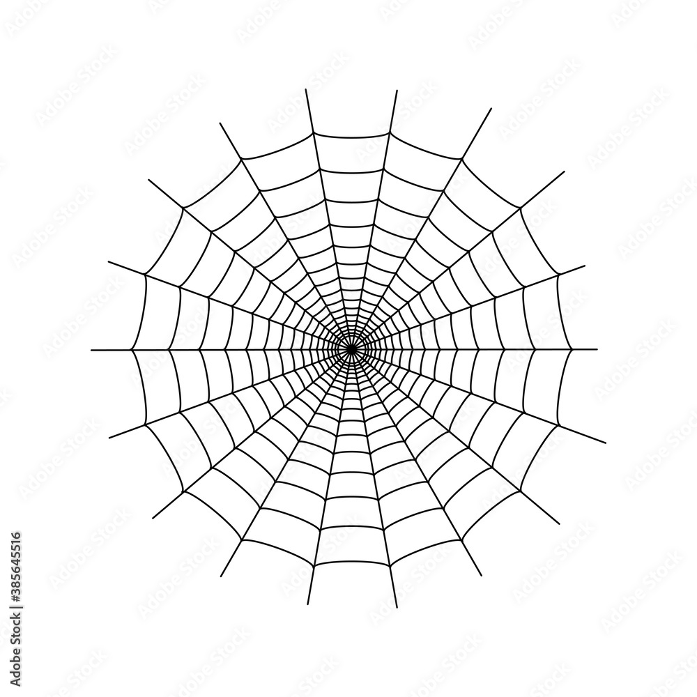 Obraz premium Spider web concept