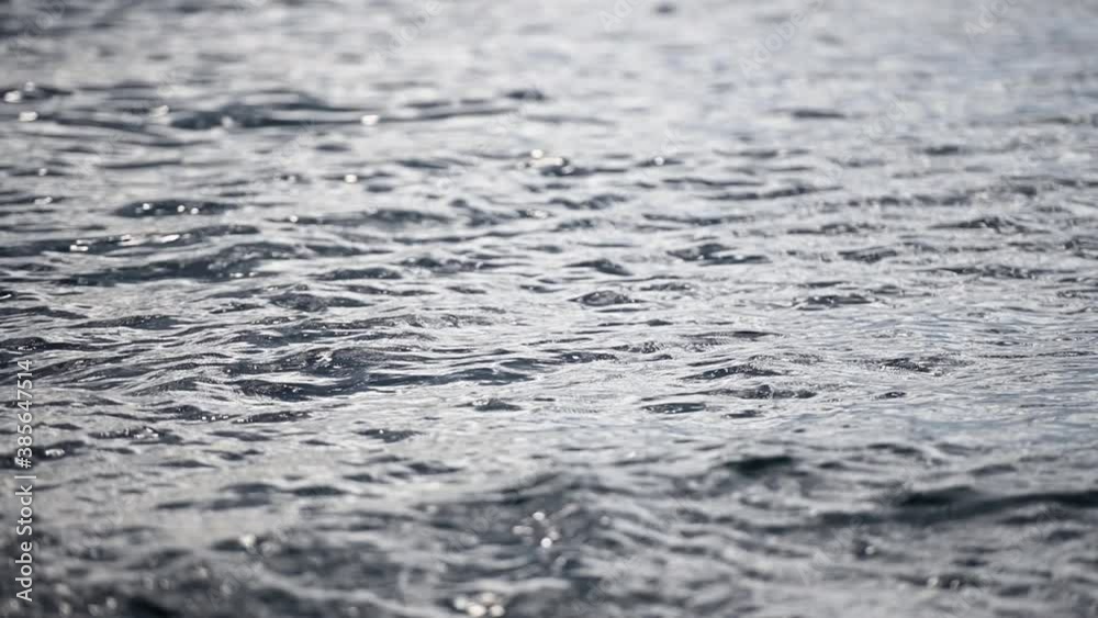 Calm Sea Water Natural Motion Backdrop Calm Sea Water Natural Motion Backdrop