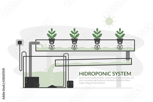 Nutrient film technique (NTF) Hydroponic system photo