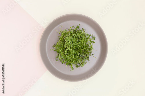Green fresh thyme on the plate.