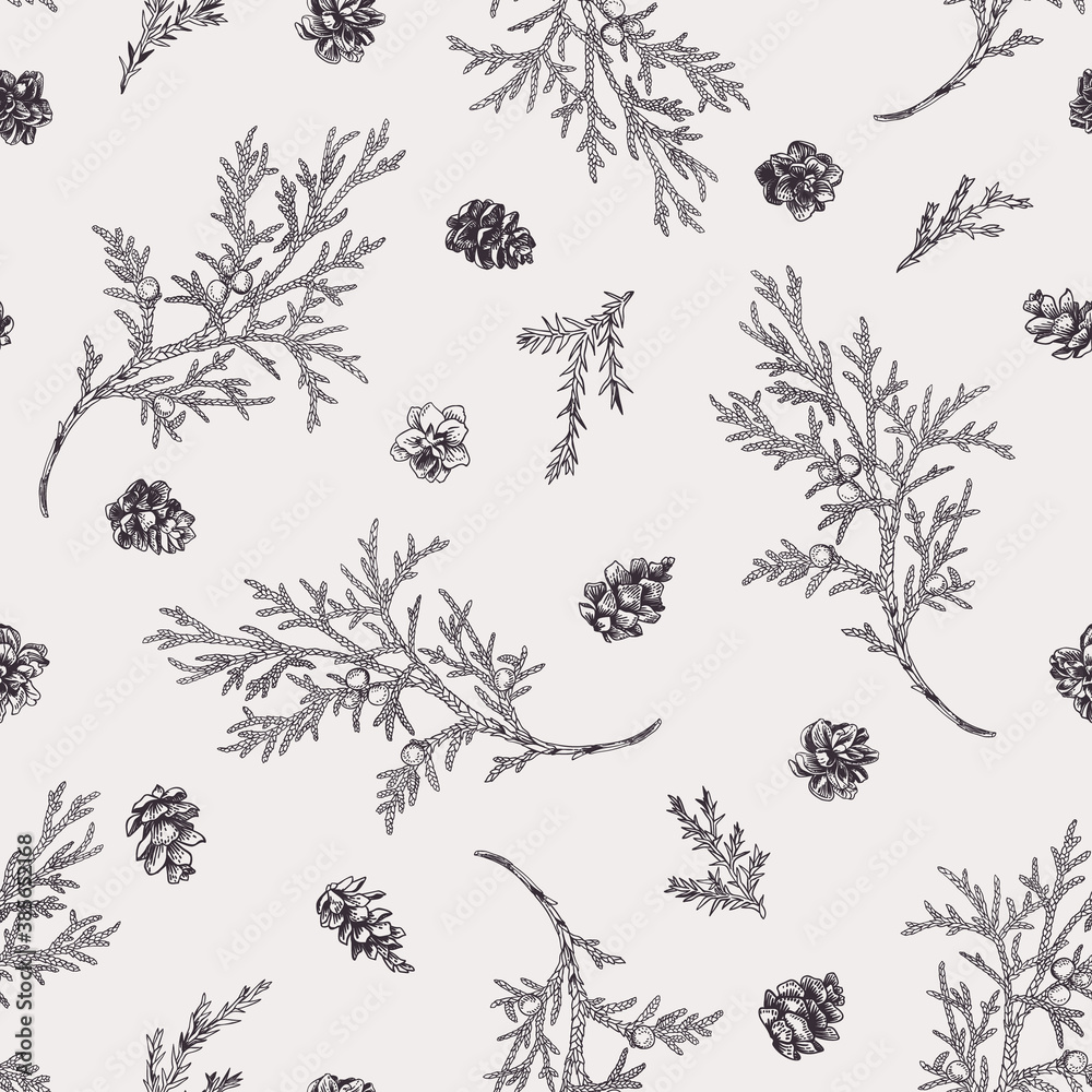 Plakat Seamless pattern with juniper branches.