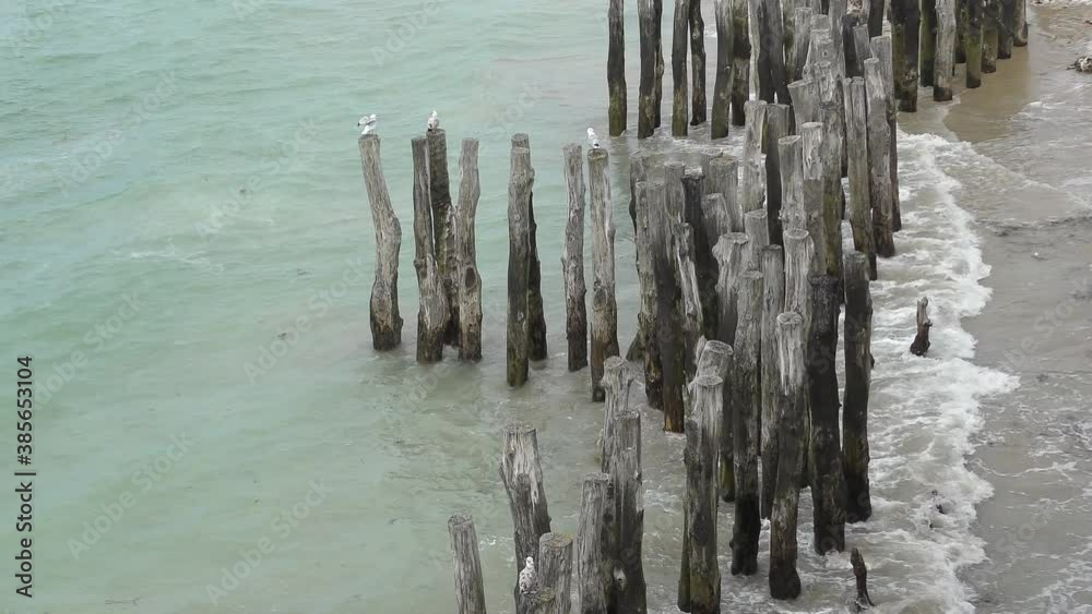 Old wooden poles during low tide at Saint-Malo beach, Brittany, France. Top view Old wooden poles during low tide at Saint-Malo beach, Brittany, France. Top view