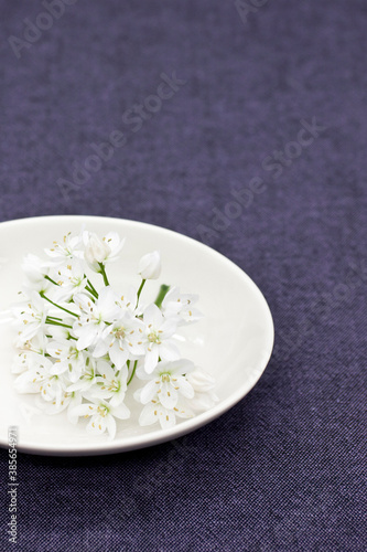 White flowers on purple background.