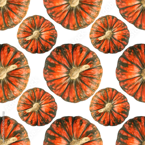 Seamless pattern with orange and green pumpkin isolated on white background. Art creative autumn photo object for wrapping, wallpaper, notebook, card, florist