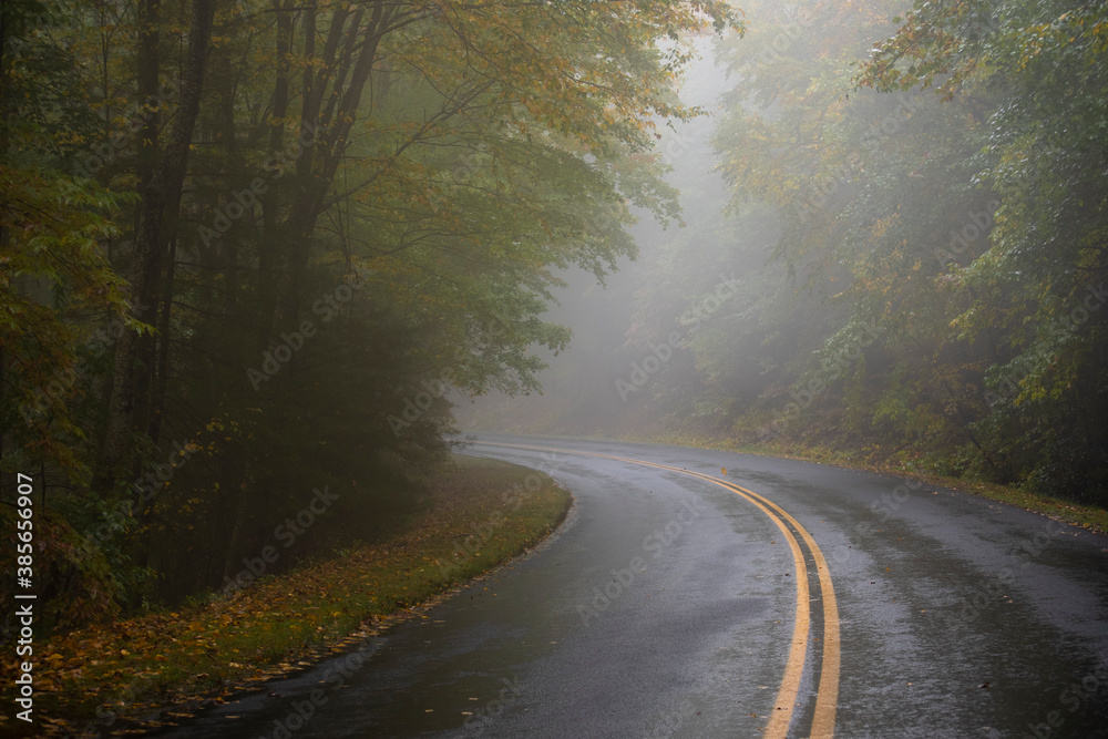A foggy mountain road on an Autumn morning
