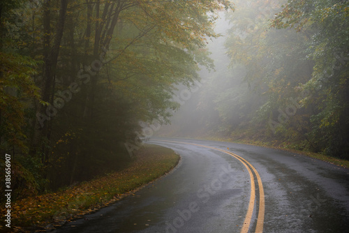 A foggy mountain road on an Autumn morning © Sharkshock