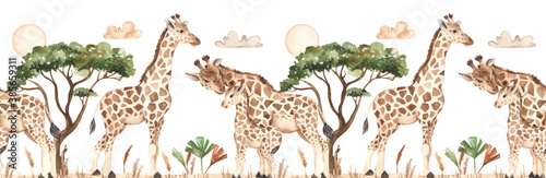 Giraffes in savannah with clouds, acacia, tropical leaves watercolor seamless border