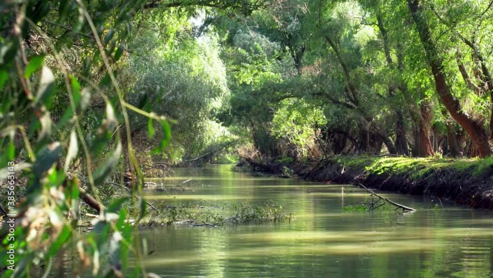 Drone Flying Low Over Green Tranquil Waters Of Danube Delta River Surrounded By Lush Foliage Forest Nature Landscape In Tulcea, Southeast Romania - Long Shot Drone Flying Low Over Green Tranquil Waters Of Danube Delta River Surrounded By Lush Foliage Forest Nature Landscape In Tulcea, Southeast Romania - Long Shot