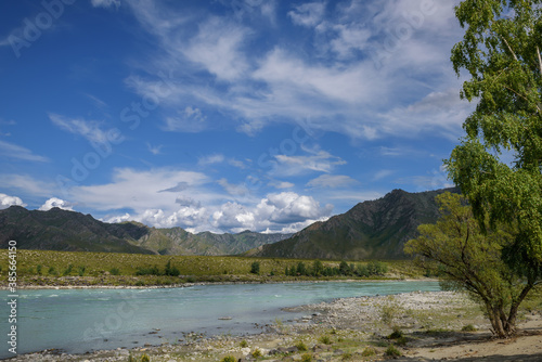 Majestic Katun river surrounded by rocky mountains, wooded banks against a blue sky with white clouds. Beautiful natural landscape.