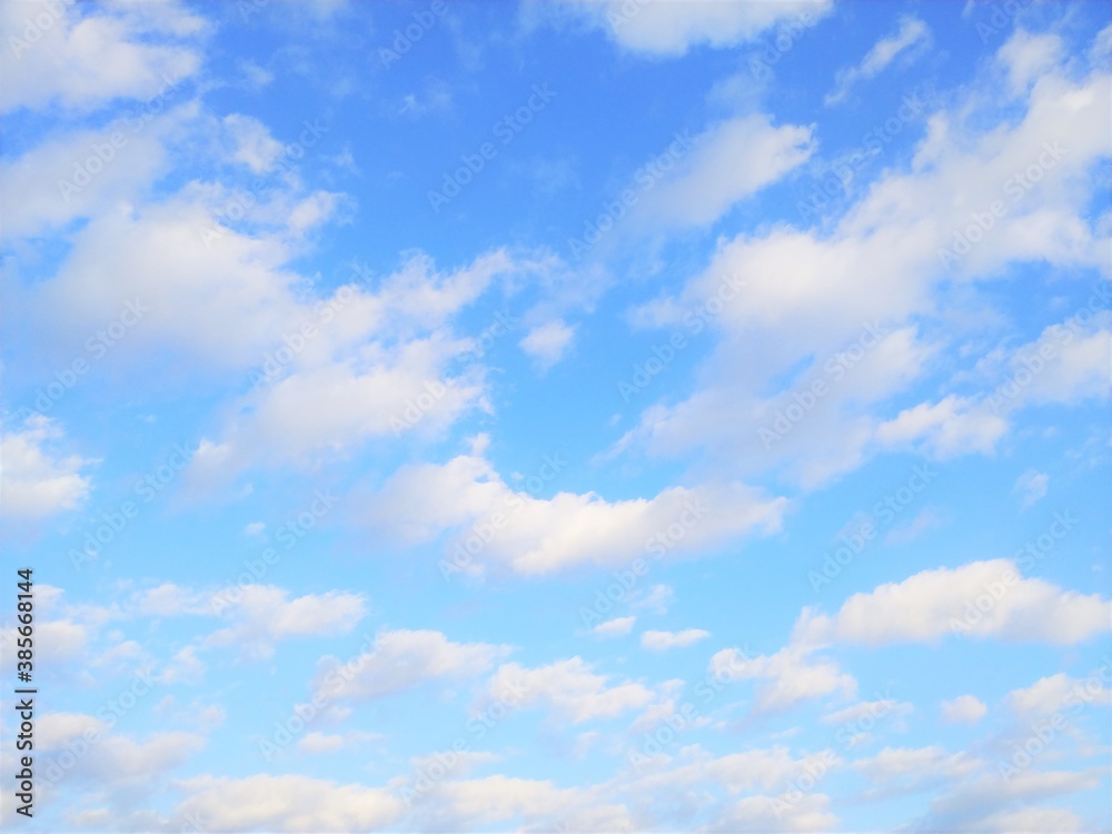 Fototapeta premium 秋 千切れ雲 背景イメージ