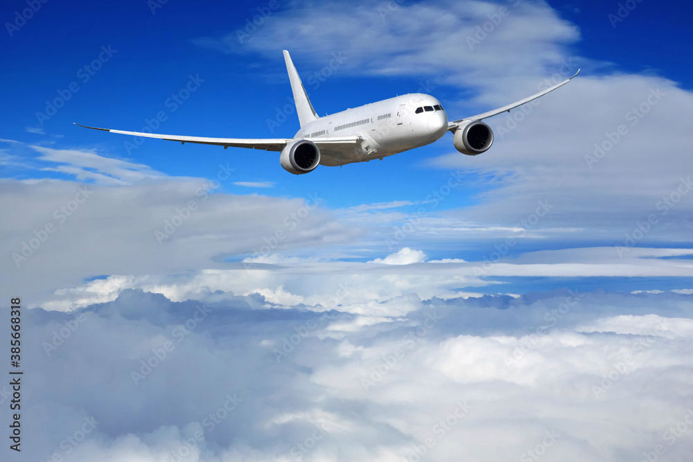 Obraz premium 飛行機