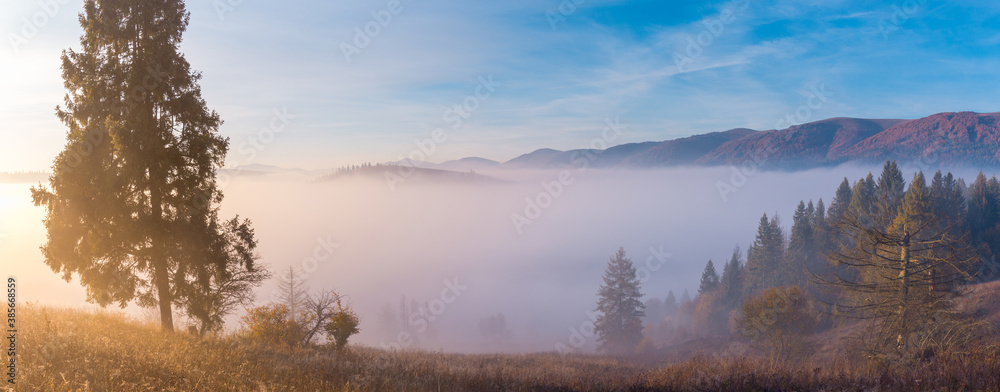 Beautiful wide panorama of Carpathian mountains. Morning fog in valley between the mountain hills. Majestic scenery of sunrise on the mountains.