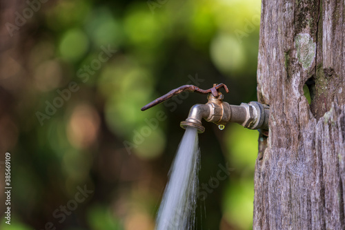 Running water from a tap in old tree background. Water consumption and usage concept in tropical island Borneo, Malaysia © OlegD