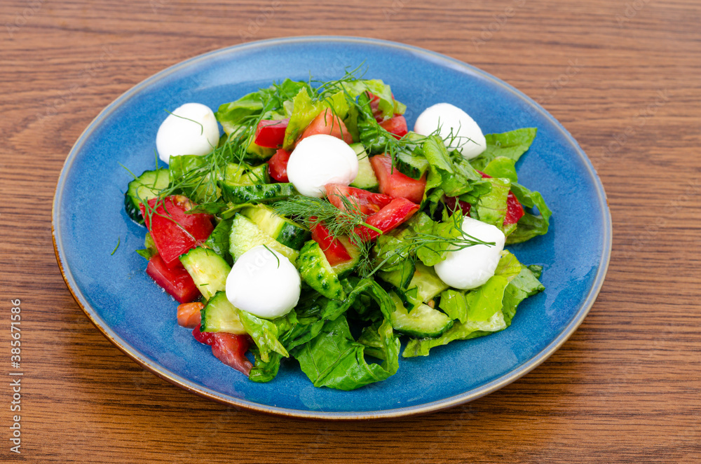 Fresh vegetable salad with mozzarella balls. Photo