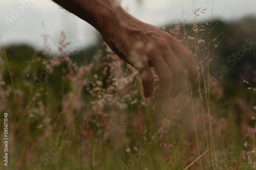 Mano de hombre acariciando plantas en la naturaleza