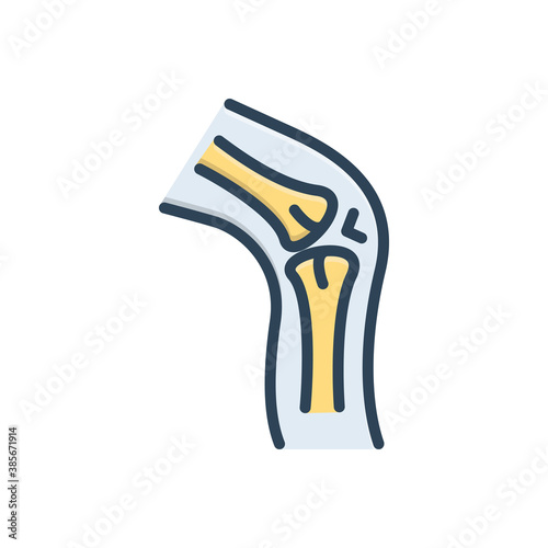 Color illustration icon for cartilage