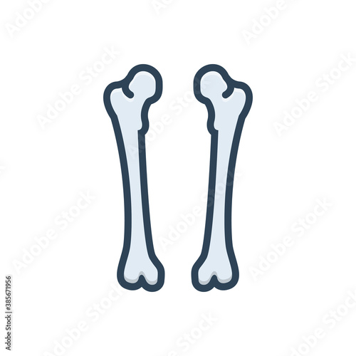 Color illustration icon for femur