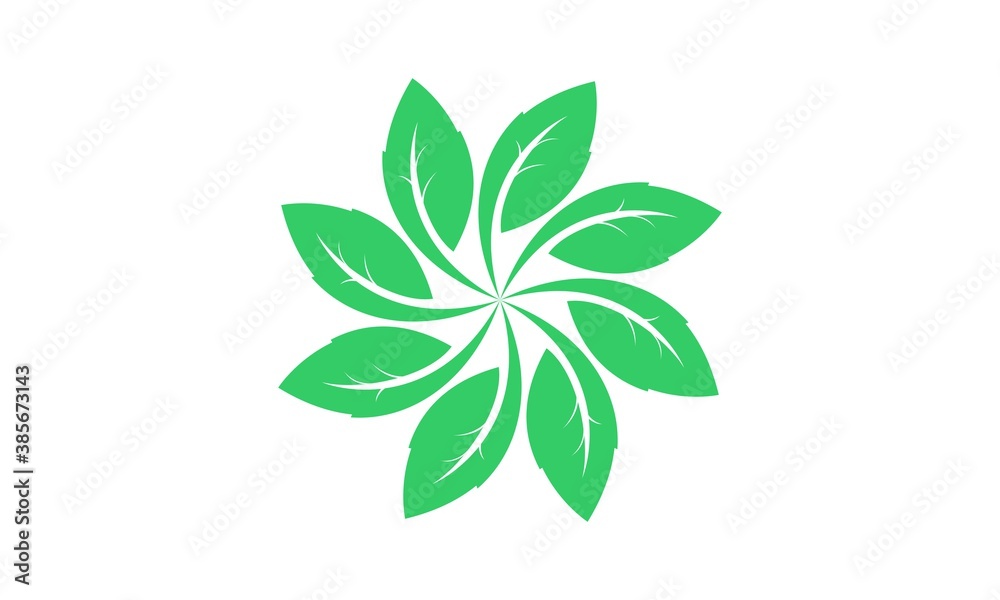 Leaf illustration vector