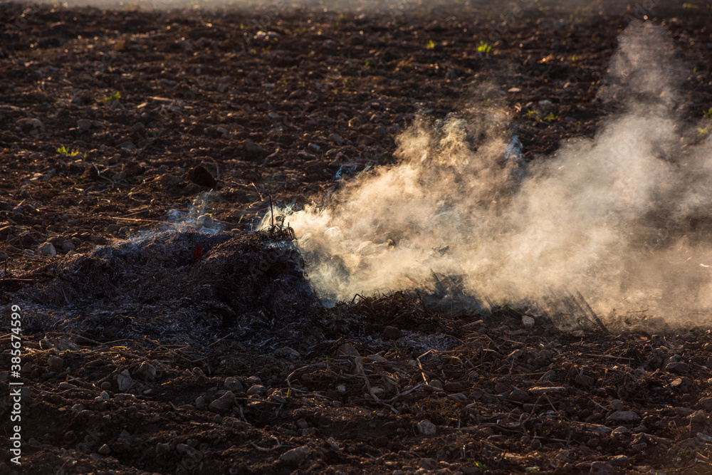 Farmers burn the dry grass and straw stubble on field in autum, another cause of global warming. Air pollution. Farmers burn the dry grass and straw stubble on field in autum, another cause of global warming. Air pollution.
