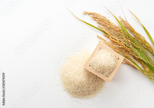 Fototapeta White rice, Masu and ears of rice on a white background