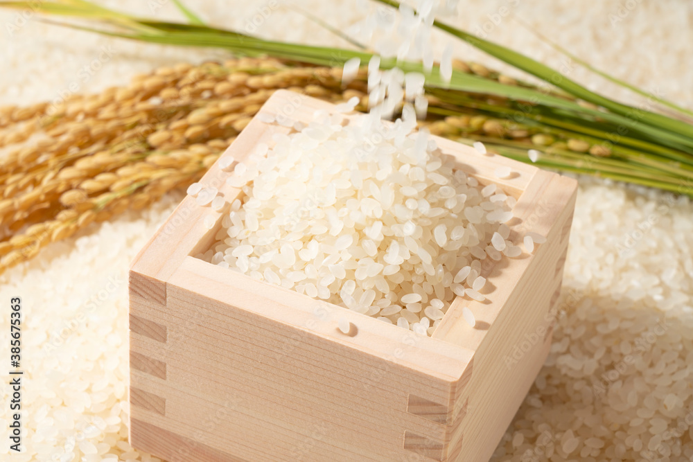 Dropping rice onto the white rice and squares laid out