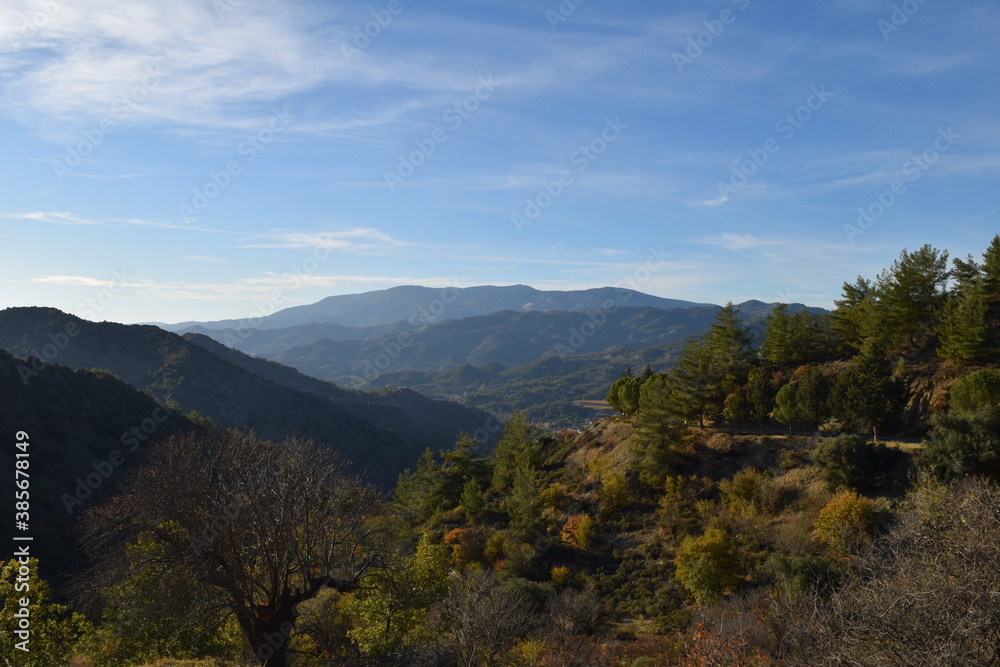 Naklejka premium landscape with trees and clouds