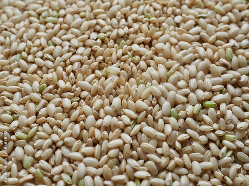 한국의 유기농 곡식 현미 