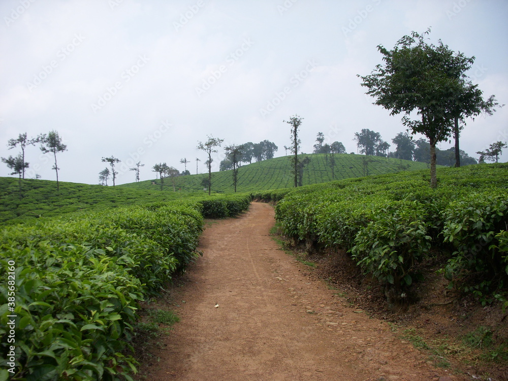 Obraz premium Lonely road