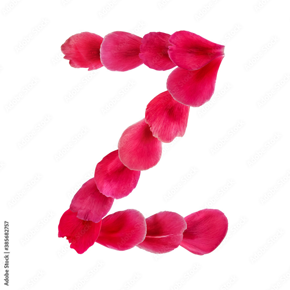 Decorative natural English letter Z made of deep pink flower petals, isolated on white background. Floral design element for greeting, holiday, wedding spring summer cards Decorative natural English letter Z made of deep pink flower petals, isolated on white background. Floral design element for greeting, holiday, wedding spring summer cards