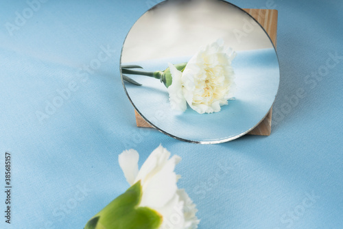 Bouquet flower with reflection in circle mirror on blue background.