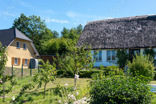 Seedorf, Ostsee, Mecklenburg-Vorpommern, Deutschland