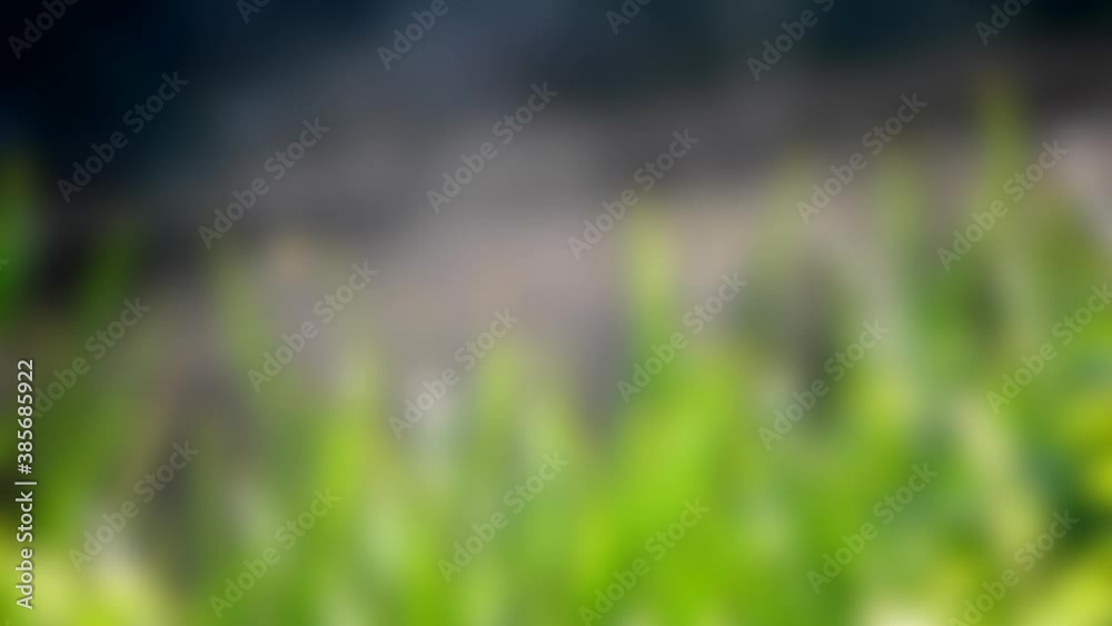 Blurred background. Morning haze rises from the water surface Blurred background. Morning haze rises from the water surface