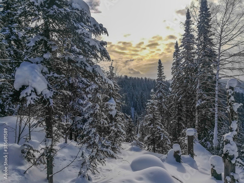 travel through the Siberian forests at different times of the year  