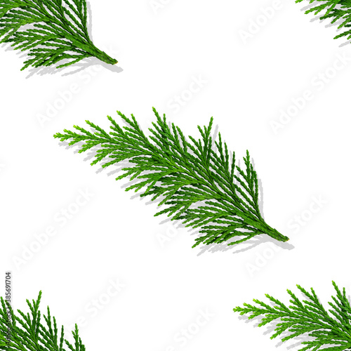 Thuja branch isolated on a white background. Christmass Seamless pattern. Green twig of thuja