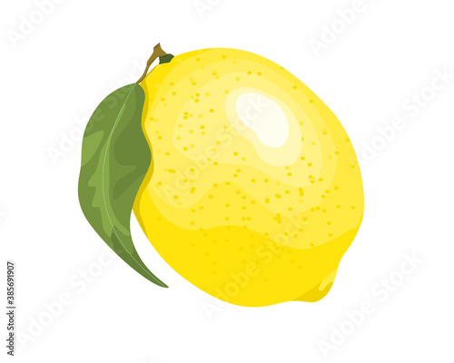 yellow lemon with leaves isolate on white background vector illustration