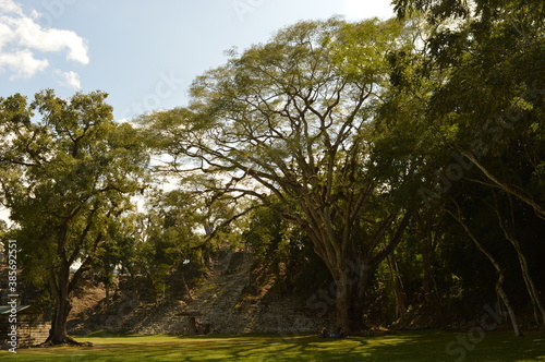 Fototapeta Naklejka Na Ścianę i Meble -  The ruins of the Mayan temple city of Copan in the jungles of Honduras in Central America