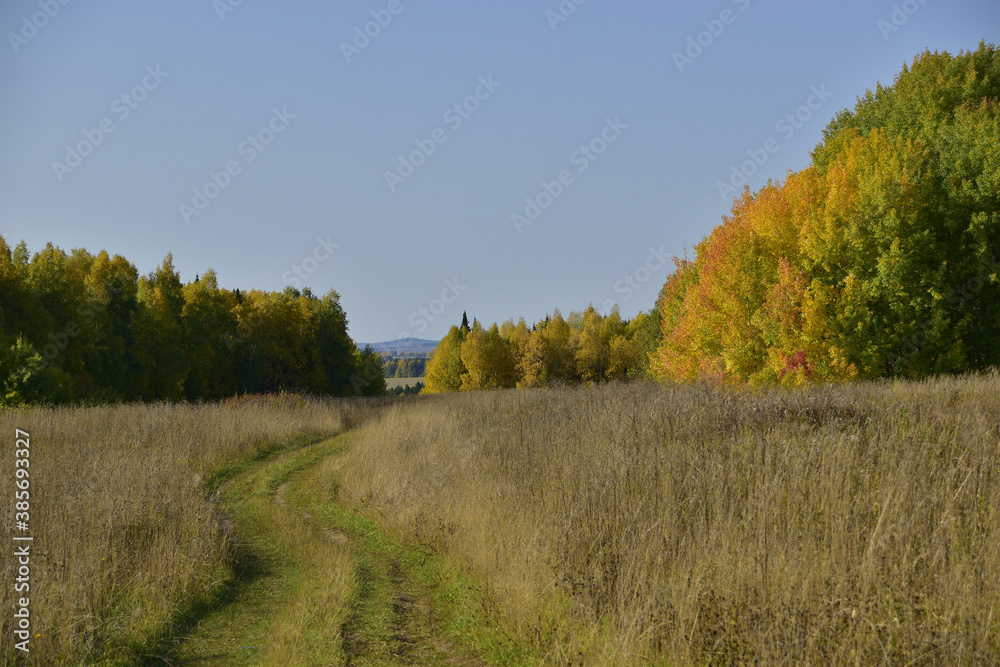 Obraz premium A field road among the unmown dry grass of an autumn field. Sunny autumn days in the foothills of the Western Urals.