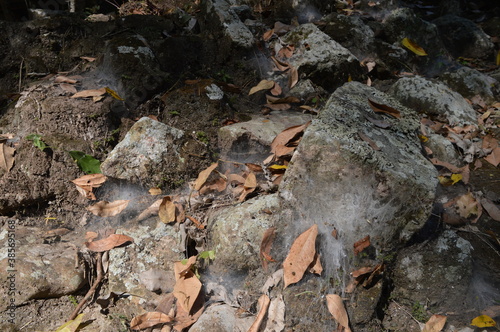 Wallpaper Mural The Mayan ruins in the temple city of Copan in the jungle of Honduras, Central America Torontodigital.ca