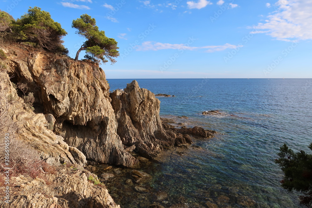 Paysage de côte sur la presqu’île de Giens à Hyères, avec un arbre au sommet d'une falaise au bord de la mer Méditerranée (France)