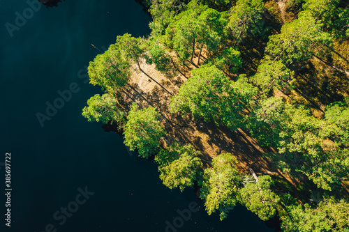 Aerial shot of a calm lake island surrounded by trees, earth from above ..