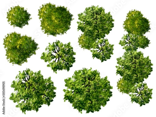 Collection of abstract watercolor green tree top view isolated on white background  for landscape plan and architecture layout drawing  elements for environment and garden.  
