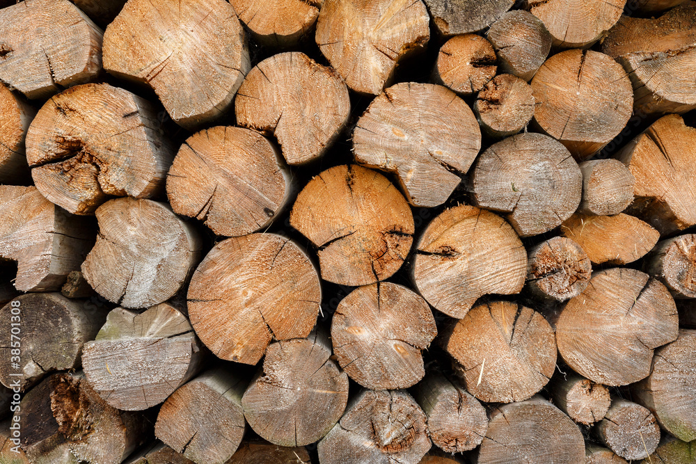 Round firewood stacked at woodpile. Wood background.