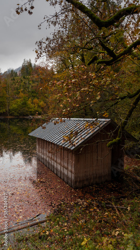 
autumn colors in the mountains by the lake