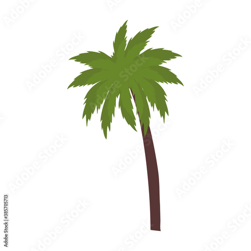 Palm tree design, Beach summer vacation tropical relaxation outdoor nature tourism relax lifestyle and paradise theme Vector illustration