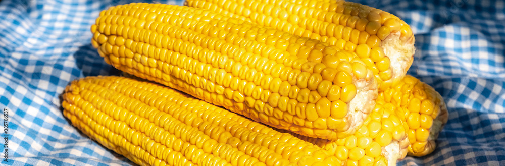 corn on blue corn on blue