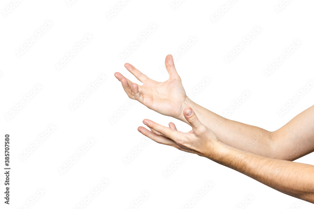 empty male hands holding palms up. Man's hands catching an invisible object on a light background. Hand gesture