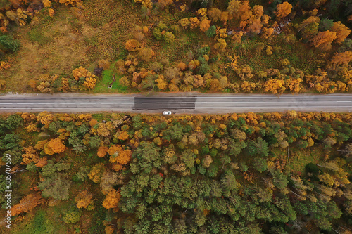 autumn road top view, landscape in autumn with drone