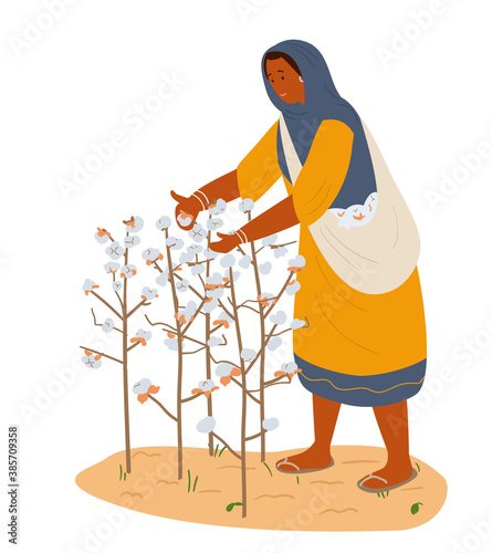 Asian Woman Collecting Cotton. Hand Drawn Flat Vector Illustration. Isolated On White.