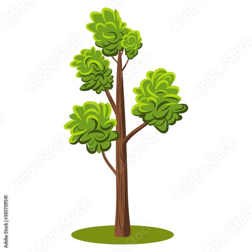 Flat cartoon vector tree with variety of green chades leaves. Flat Vector Illustration for nature props