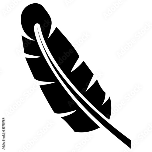 
A bird leaf in black color known as tail feather 
